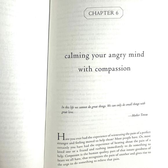 Calming Your Angry Mind: How Mindfulness & Compassion Can Free You from Anger - Picture 7 of 7